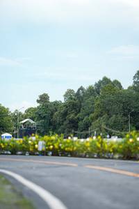 BIB: 
                            <button type="button" onclick="openModal(26554415)" class="btn btn-primary btn-sm float-right btn-popup" data-toggle="modal" data-target=".modal-high-quality">
                        <i class="fas fa-shopping-cart"></i> Add to Cart
                    </button>
                                            <button type="button" onclick="isThisMe(26554415, true)" class="btn btn-success btn-sm float-right btn-popup btn-isme hidden" data-toggle="tooltip" data-placement="bottom" title="นี่คือรูปของคุณใช่ไหม คลิกที่นี่เพื่อเอาเข้าอัลบั้ม">
                        <i class="fas fa-plus"></i> Add to album
                    </button>
                    <button type="button" onclick="isThisMe(26554415, false)" class="btn btn-warning btn-sm float-right btn-popup btn-isnotme hidden">
                        <i class="fas fa-ban"></i> Remove from album
                    </button>